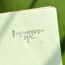 오늘은왠지좋은일이생길것같아