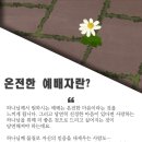 ＜오늘, 묵상＞ 온전한 예배자란? 이미지