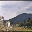 오름농장 이미지