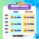 PET WAVE | 경주 캘리포니아비치 워터파크 입장권 가격 할인 종일권 오후권 크록스