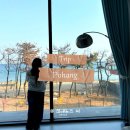 더헤이븐 리조트 펜션 | 아이와 함께한 포항 여행｜포항 헤이븐 펜션 리조트 내돈내산 후기 포항 가성비 숙소 추천