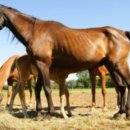 컴퓨터 오피스 이미지