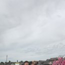 황금마켓
