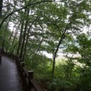 무등산생태요양병원 이미지