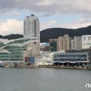 사)부산어패류처리조합