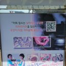송담추어탕통영점