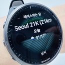 ㈜뉴페이스 정직한주유소 제2지점 | 더레이스 서울 21K 하프코스 참가 후기🏃 - 러닝에 기적은 없었다.🎖️ 부상을 냉정하게 바라봐야 하는 이유...