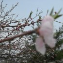 동부여성문화회관 이미지