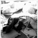 제부촌 펜션 이미지