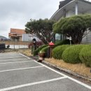 산촌묵밥 이미지