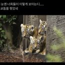 주형메디칼 | 마치 어제 같은 그리움의 무색함