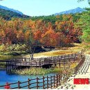 자생식물원 이미지