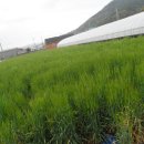 새동네농장 이미지