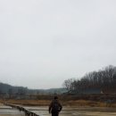 영주중앙시장 이미지