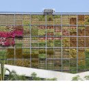 수직의 정원 이미지