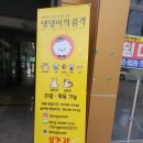 댕댕이의 품격 이미지