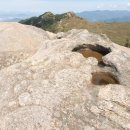 창녕공설운동장 이미지