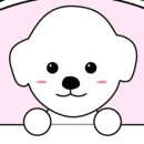 달곰펫 네이버블로그