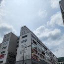 한림노루페인트세종페인트 | 세종시 애견유치원,호텔 "댕댕어때"시공후기