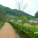 좌구산 캠핑공원 이미지