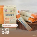 키움디자인 | 프로바이오틱스 어린이 유산균 추천 키움정 세돌아이 후기