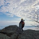 오봉산 칼바위 주차장 화장실 | 나의산행기 국가지정자연유산명승지 보성오봉산용추동과칼바위일원 보성오봉산 함께사는식물 노박덩굴