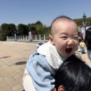 앨리스의집 | 서울랜드 K도파민페스티벌 9개월, 5개월 아기랑 다녀왔어요! 어린이날 아기랑 가볼만한 곳 추천👶🏻