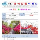 (주)마이여행사 이미지