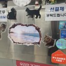 카레공방석남점 이미지
