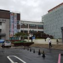 서구청 본관동 네이버블로그