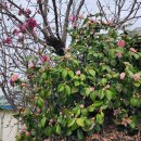 목리경로당 이미지