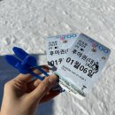 알펜시아 둘 민박 | 강원도 용평리조트 알펜시아렌탈샵 추천, 스키복/장비대여/리프트 렌탈샵 비버네🏂