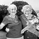 (주)디브로스 이미지