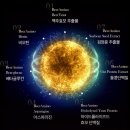 주식회사 더라파솔루션 | 탈모샴푸 유목민, 닥터라파알 독일 맥주효모 샴푸로 정착한 '찐' 후기