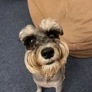 오구오구살롱 이미지