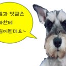 The달달한오후