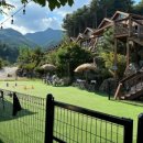 가평 아름마루 독채 애견펜션2 이미지