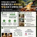 아르페지오내서점 | 자연밥상 불국사 사례를 보며, 아르페지오가 목적지형 맛집으로 더 강해지는 방법