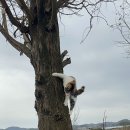 여시물길