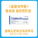 코끼리 동물약국 이미지