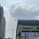 제철횟집 - 남구 오륙도로 85 | 노량진 수산시장 횟집 주문진 제철 민어모둠회 후기