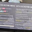 힐링위드독 이미지