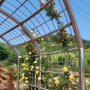 평림댐 화장실 이미지