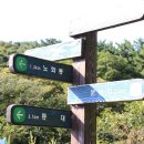 소청출장소 이미지