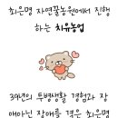 아이갓에브리씽국립원예특작과학원점 | 치유농업/ 암 암 괜찮아 괜찮고 말고/국립원예특작과학원/이상미박사님과 워크숍