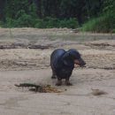 주식회사하얀 이미지