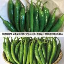 바른야채 이미지