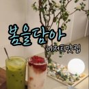 봄을담아