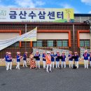 멋진사람들_20221006 금산인삼축제버스킹, 공주밤줍기체험 이미지