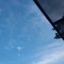 아차산정육식당 | #92~96. 10월은 먹놀공 그리고 묵호